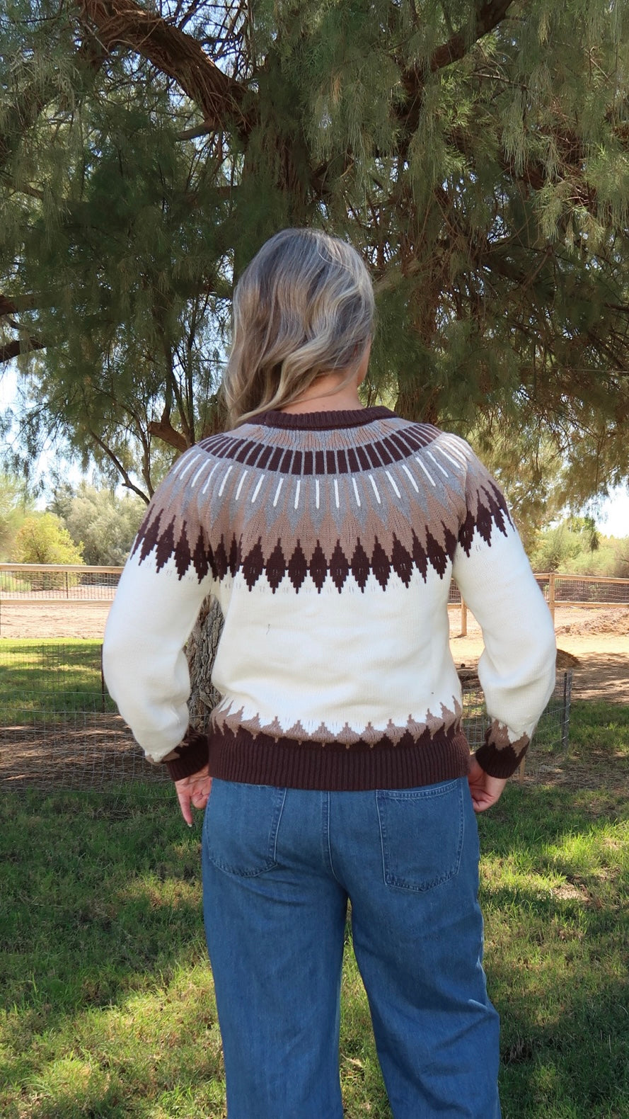 Fair Isle Style Long Sleeve Sweater- Aohi Gold Apparel