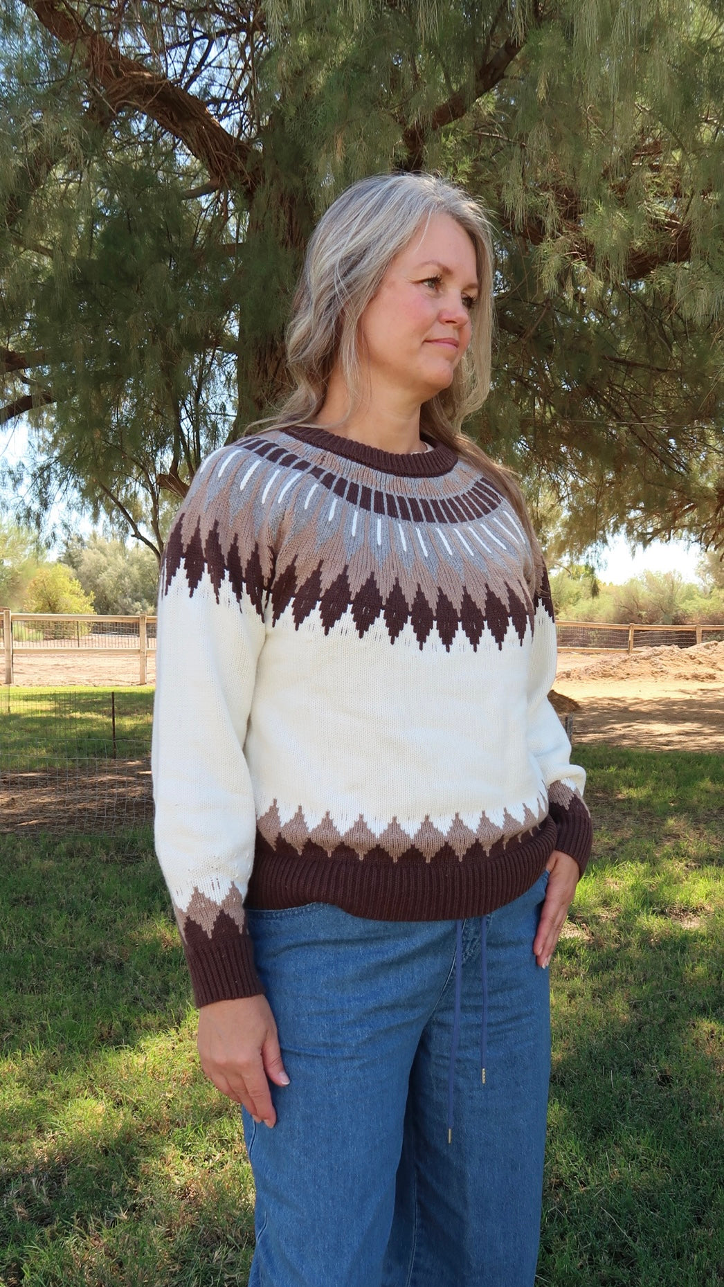 Fair Isle Style Long Sleeve Sweater- Aohi Gold Apparel