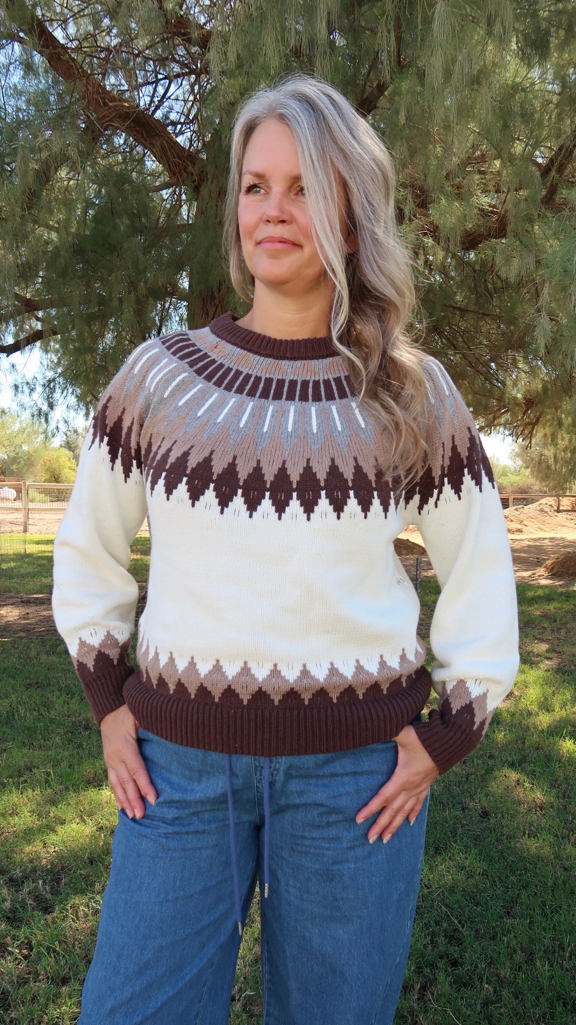 Fair Isle Style Long Sleeve Sweater- Aohi Gold Apparel